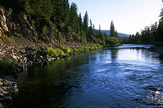 -mypubliclandsroadtrip 2016- Places to Drop a Line, Blackfoot River (27855593034).jpg