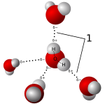 Archivo:3D model hydrogen bonds in water