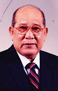 Amata Kabua MH (cropped2).jpg
