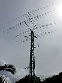 Archivo:Antenas direccionales