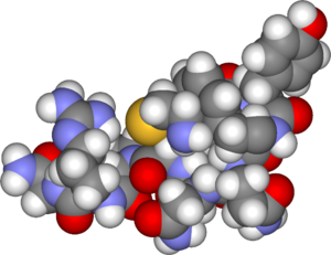 Archivo:Arginine vasopressin3d