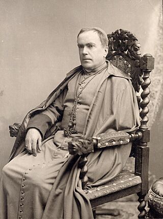 Arzobispo Mariano Casanova.jpg