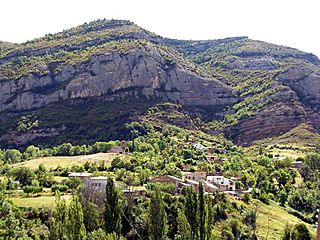 Beranui.JPG