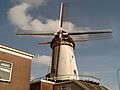 Bodegraven, molen foto1 2007-03-10 14.40