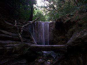 Archivo:Caida de agua entre La Enea y el sitio Las Comadres, al Norte de la Parroquia Paracotos