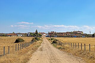 Camino a la Almendra.jpg