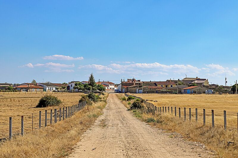 Camino a la Almendra
