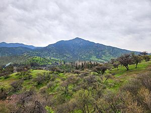 Archivo:Cerro Huilquio 02