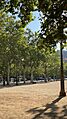 Conjunto de Farolas del Paseo del Salón