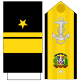Contralmirante Marina de Guerra Dominicana (Mango y Pala).svg