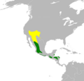 Dendroica graciae map