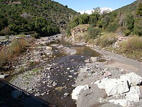 Desde Puente Río Claro. - panoramio.jpg