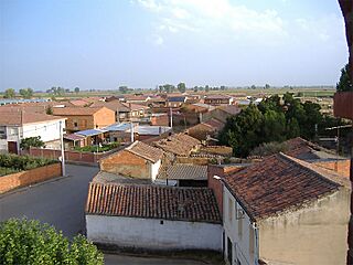 Grisuela.jpg