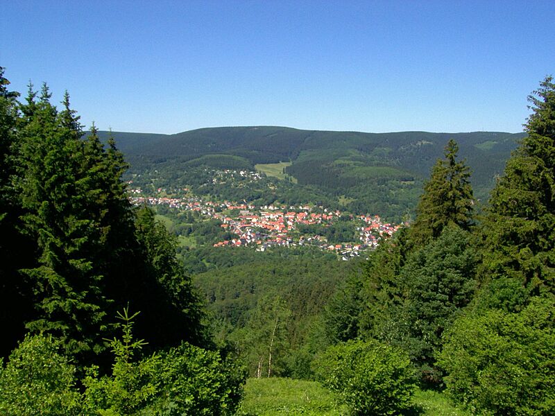 Grosser Beerberg