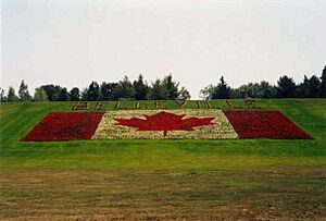 Archivo:Highway 401 - Belleville 2001