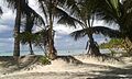 Isla Saona III