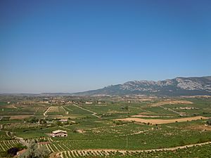 La Rioja Alavesa..jpg