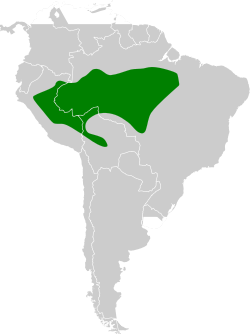 Distribución geográfica de la tangara aliblanca.