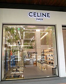 Céline (brand) Facts for Kids
