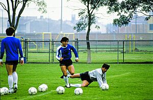 Archivo:Maradona passarella practica argentina