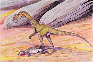 Archivo:Megapnosaurus DB