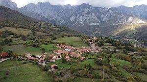 Archivo:Mogrovejo pan