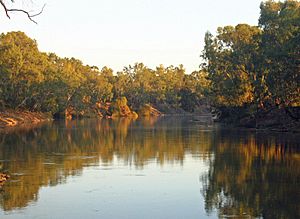 Archivo:Murrumbidgee River in Wagga Wagga