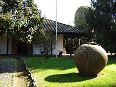 Archivo:MuseoRancagua