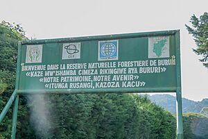 Archivo:PancarteLa réserve naturelle de la forêt de Bururi