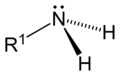 Primary-amine-2D-general