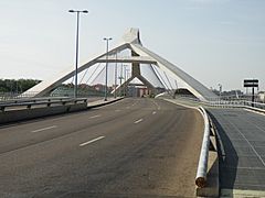 Puente Tercer Milenio Zaragoza 8