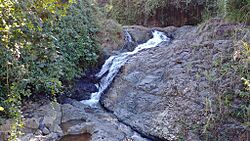 Río La Venta, Utuado, Puerto Rico (1).jpg