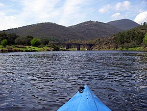 Archivo:Rio Alagon Sotoserrano 015