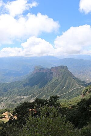 Archivo:Sierra Gorda