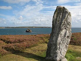 The Old Man of Gugh - geograph.org.uk - 816645.jpg