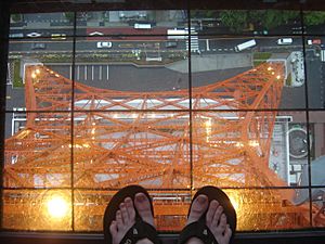 Archivo:Tokyo Tower look down window