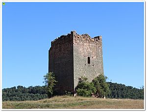 Archivo:Villanueva de la torre 12 (Torre)