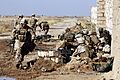1st Battalion 3rd Marines near Marja
