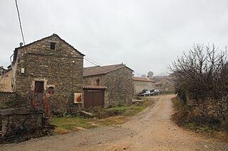 277.Mondot.JPG