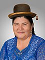 Adriana Tarifa Condori. Official portrait, 2020. Chamber of Deputies of Bolivia