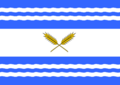 Bandera de Ñiquén