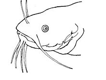 Archivo:Barbel (PSF)
