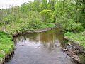 Blueberry River Minnesota