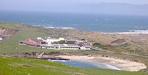Archivo:Bodega Marine Lab 3543