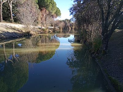 Archivo:Canal del Guadarrama en Navalcarbon 2