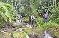 Cascadas del valle misterioso Hike