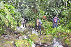 Archivo:Cascadas del valle misterioso Hike