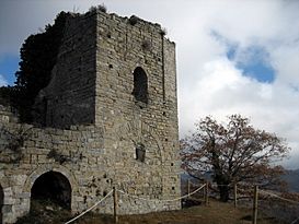 Castell Besora IMG 2815.JPG