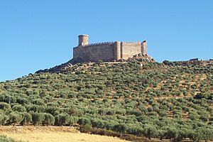 Archivo:Castillo Puebla Alcocer