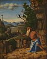 Cima da Conegliano - San Girolamo in un paesaggio
